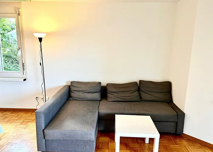 Apartments Close To Lake In The Center Of Zurich Hwa - Self Checkin